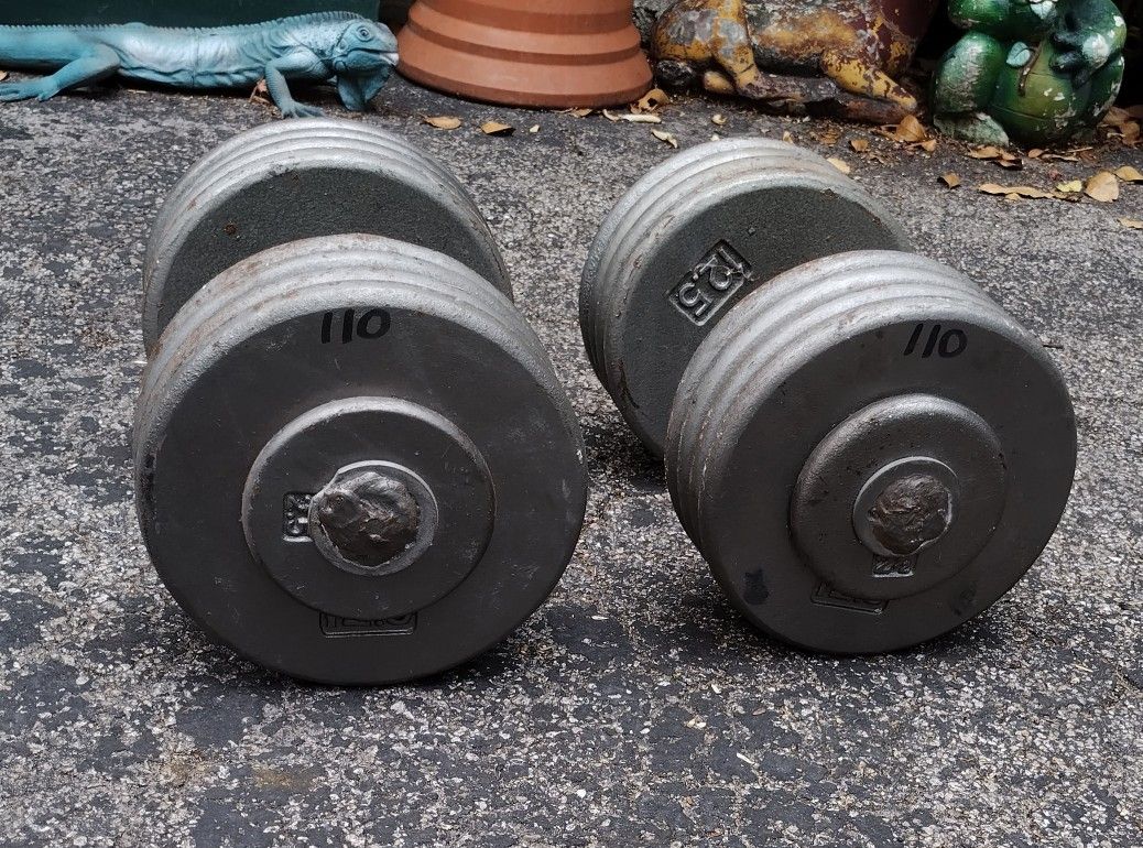 110 POUND PRO STYLE DUMBBELLS