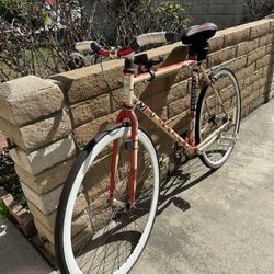 Fixie Bike