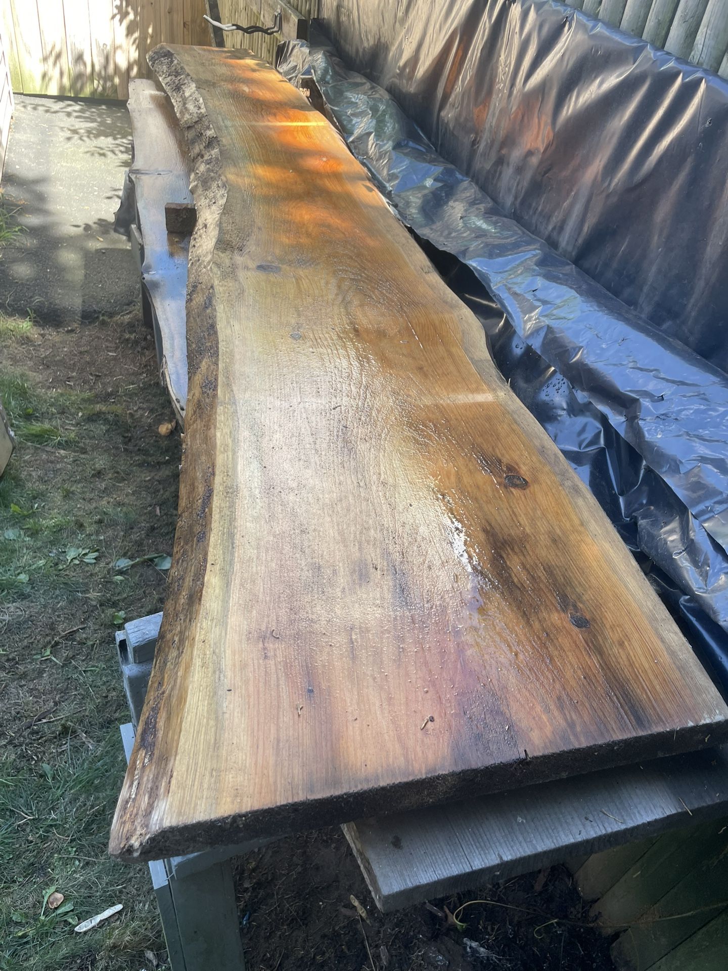 Kiln Dried Pine Slab