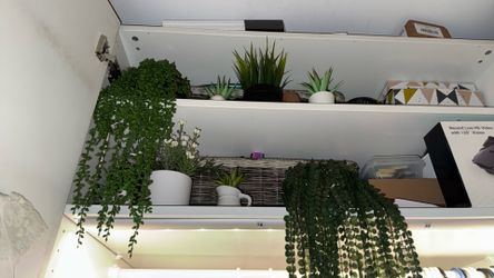 Fake plants greenery