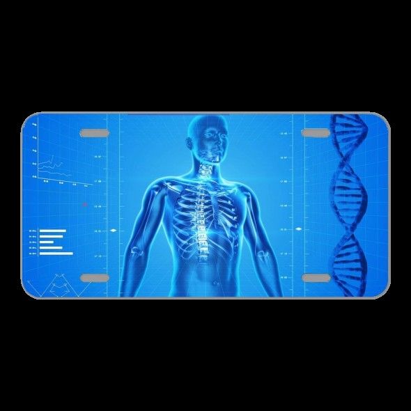 License Plate Novelty Car Front Human Skeleton Human Body Anatomy