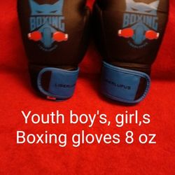 #927... Boxing Gloves Youth