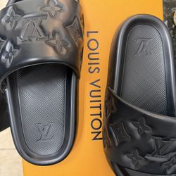 LV Slides