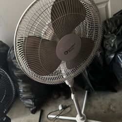 Fan