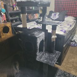 Brand New Cat Tower