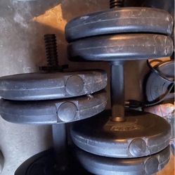 Dumbells I Have Weights Too Plastic 