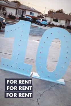 4ft Marque Numbers