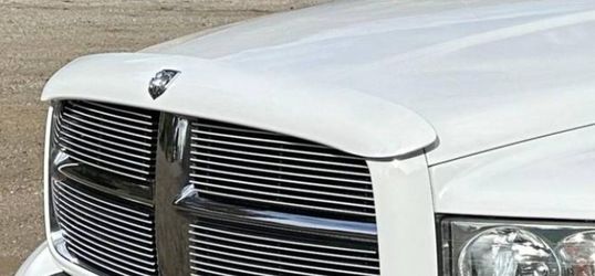 2003 Ram Truck Bug Deflector Guard