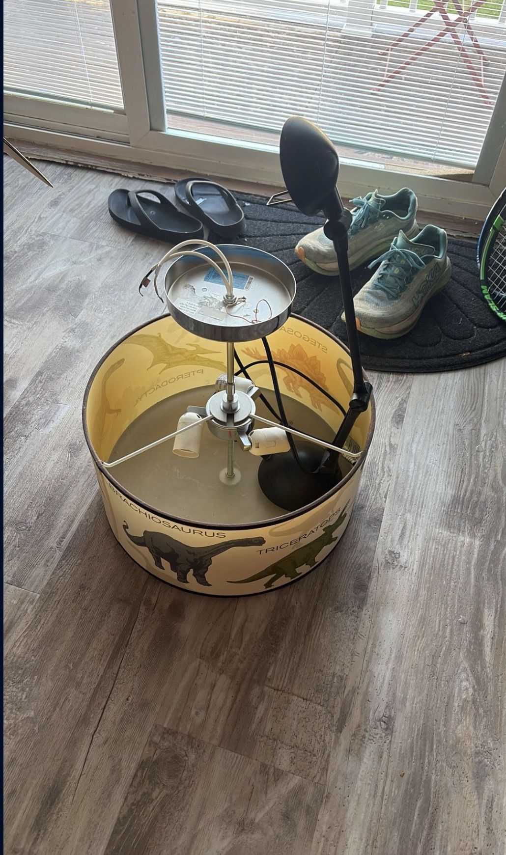 Dinasour Ceiling lamp and Desk Lamp