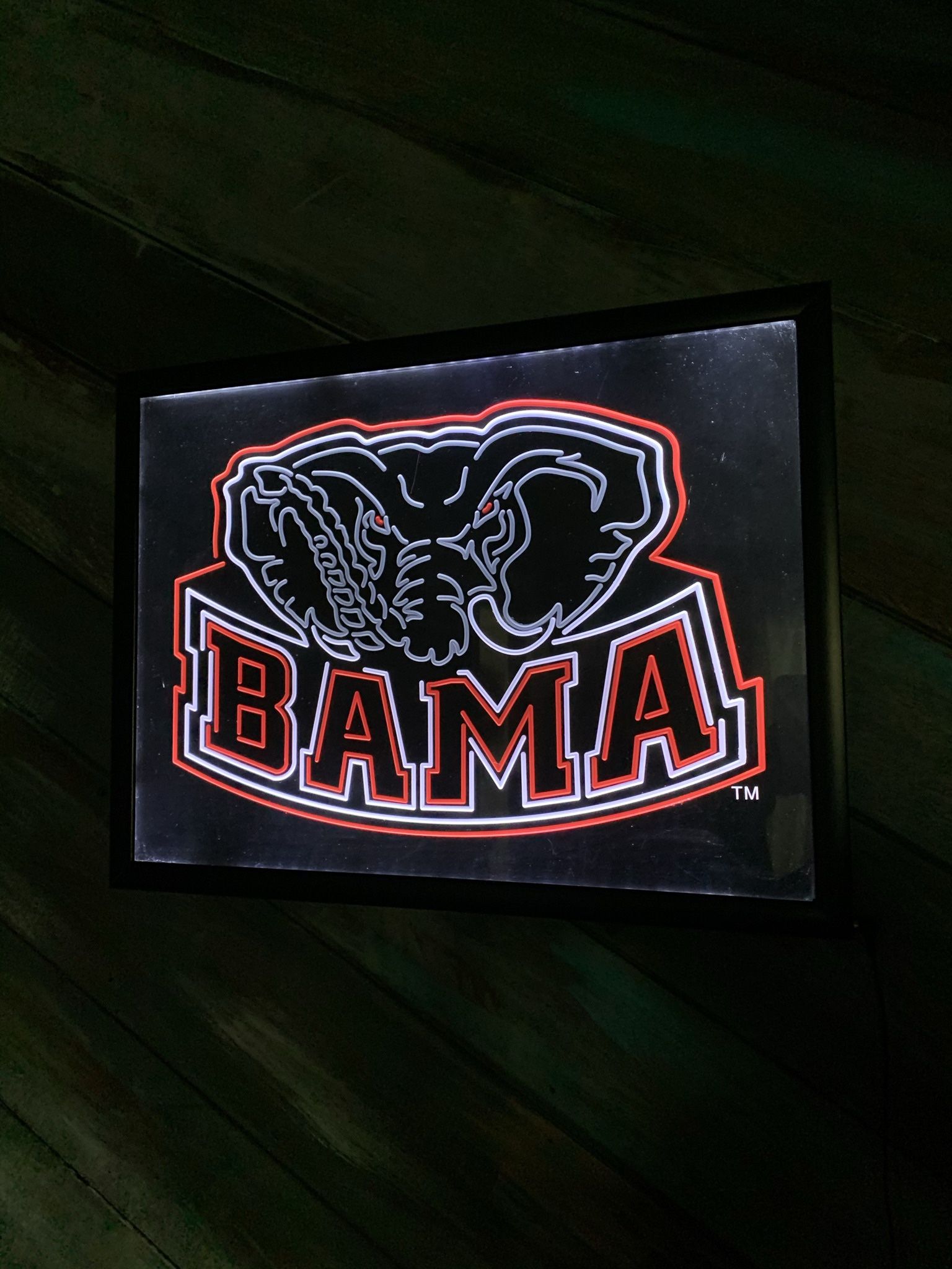 Alabama neon wall decor 18x24
