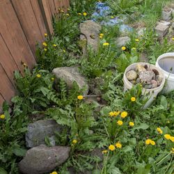Landscaping / Fountain Pond Rocks