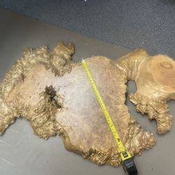 Amazingly Heavy Maple Burl 1 1/2” Thick