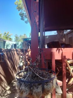 Hanging Flower Basket