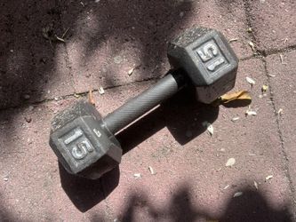 15lbs Dumbbell