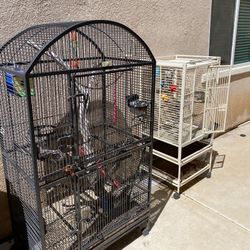Bird Cages
