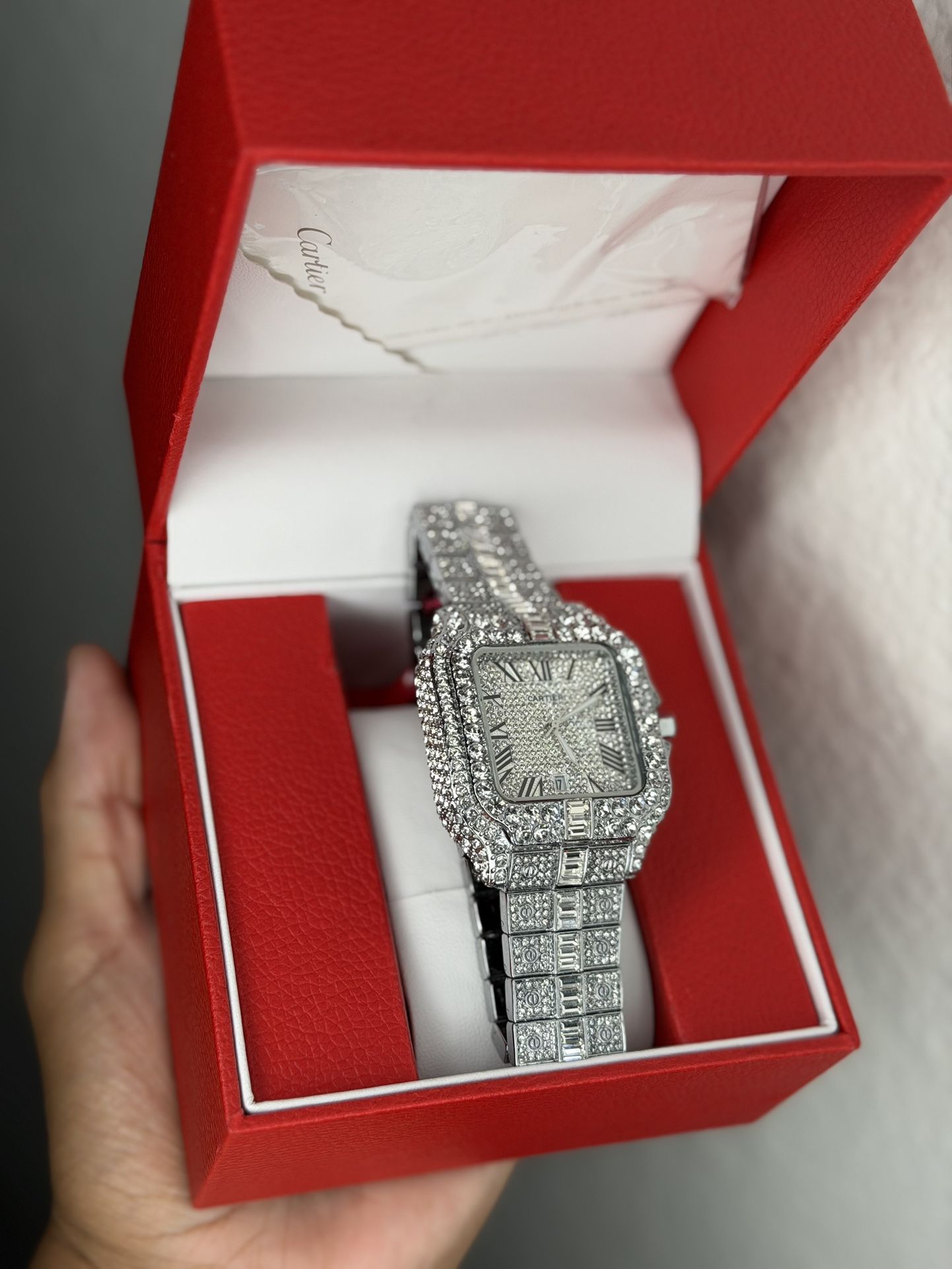 €ARTEIR SANTO WATCH 