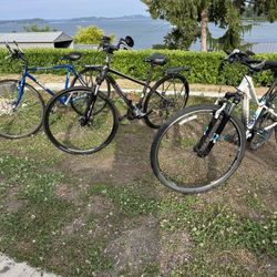 Trek Bicycles Mountain Bikes