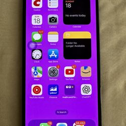 iPhone 13 Pro Max 256 GB Unlocked 