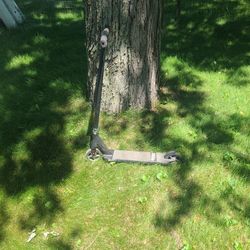 Kids Scooter 
