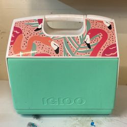 Igloo Cooler 