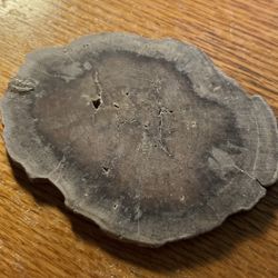 Natural petrified wood | Polished stone | Wood rock | Fossilised tree