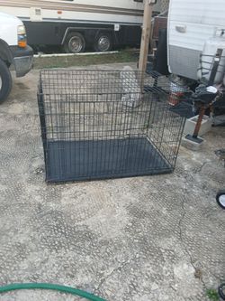 Kong Dog Kennel
