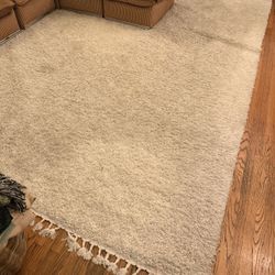 9x11 White Shag Rug