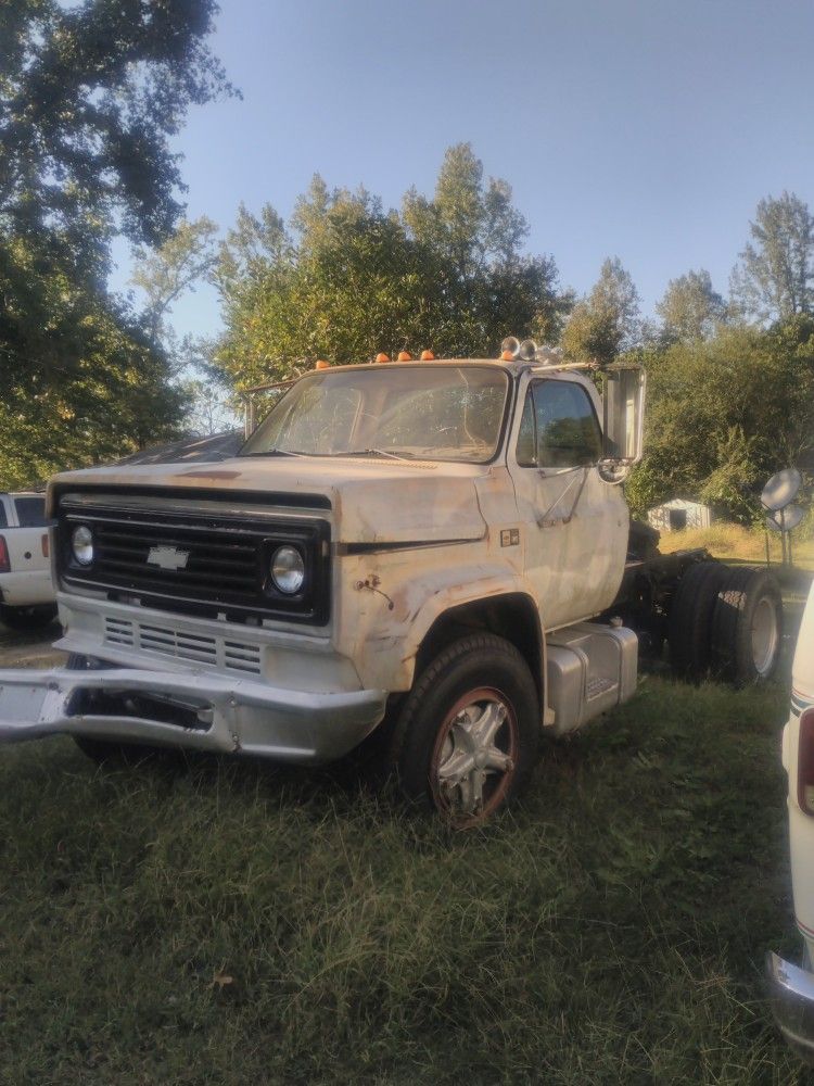 1981 Chevy Truck, C6500