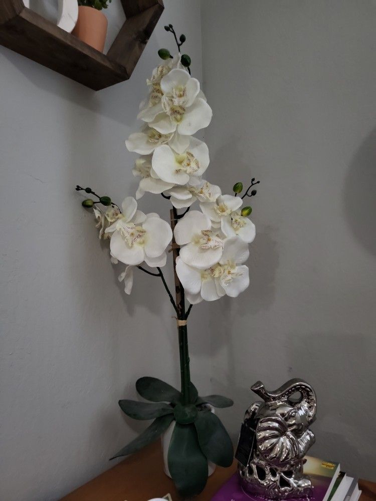 Fake White Orchid Plant