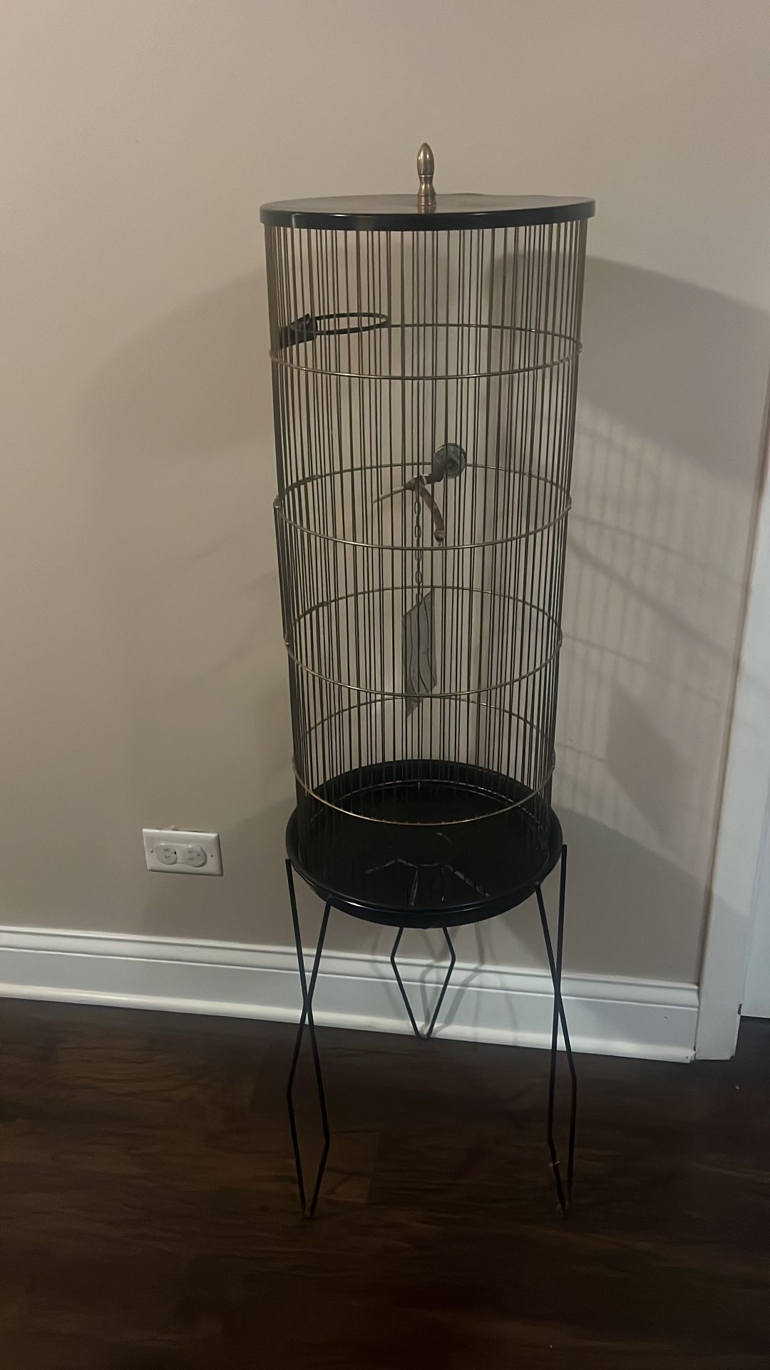 Bird Cage 