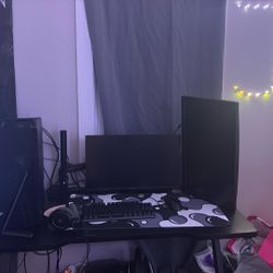 entire Gaming Set Up