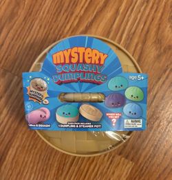 Mystery dumpling in steamer pot squishy fidget toy