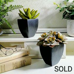 2 Piece Set Artificial Succulents in Modern Charcoal Color Ceramic Vases , 6"x4"each, home decor Fake Plants Faux Plants Flowers cacti cactus 