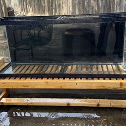 55 Gallon Aquarium