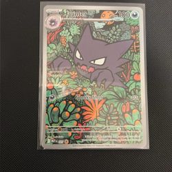 Pokemon Haunter Promo 027