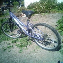 Huffy Purple Bike Girl 18 Speed