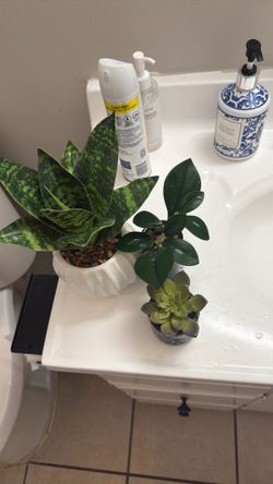 Fake plants