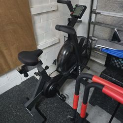 Weight Rogue Echo Bike