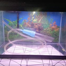 Beautiful 10 Gallons Aquarium 