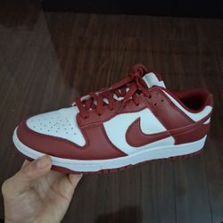 Dunk Size 10