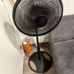 Fan