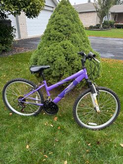 Rallye Incline 24" Youth Mountain Bike - Great Condition