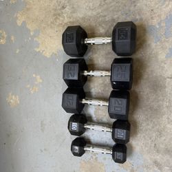 Free Weights