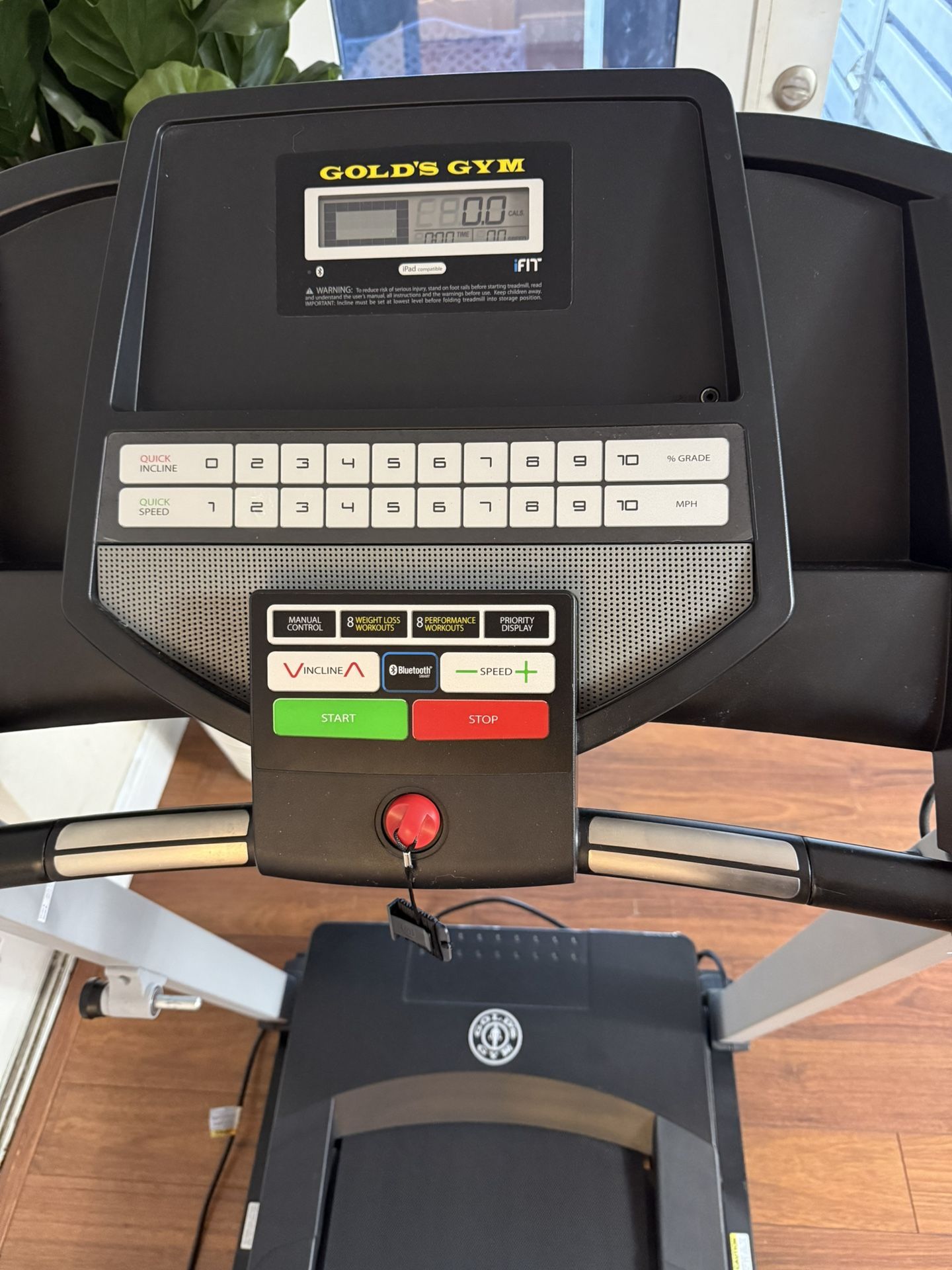Treadmill-Caminadora ( Gold Gym New 🎁)