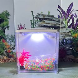 *(NEW) * Betta 1.2 Gallon Nano Tank• (Price is Firm ) • =ADDED Item Read Description