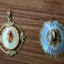Shell Pendants