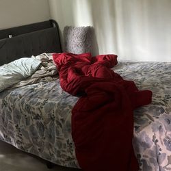 Queen Bed With Mattress 
