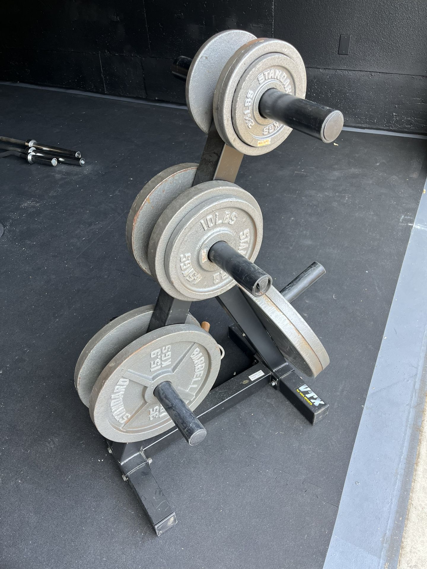Squat Rack, Weights & Weight Tree