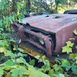 68 GTO  Nose Front Clip 