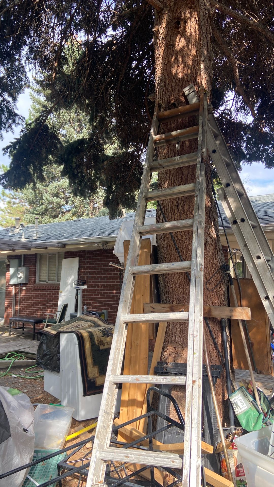 Ladder
